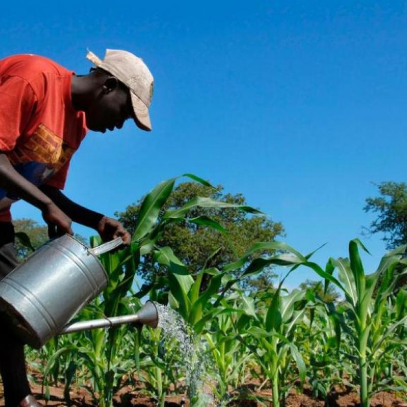 Agriculteur.jpg