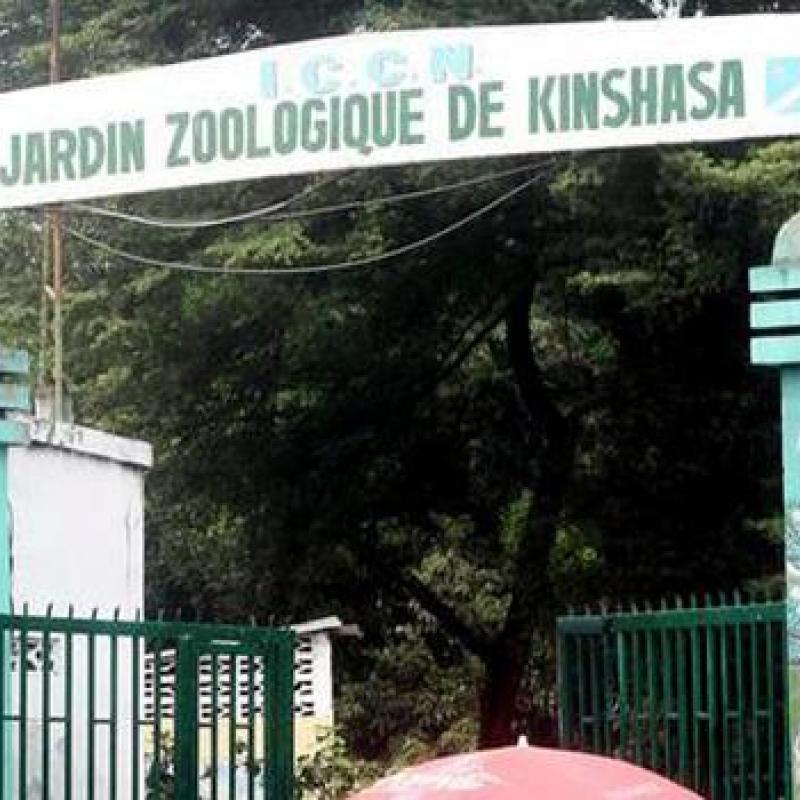 Zoo.jpeg