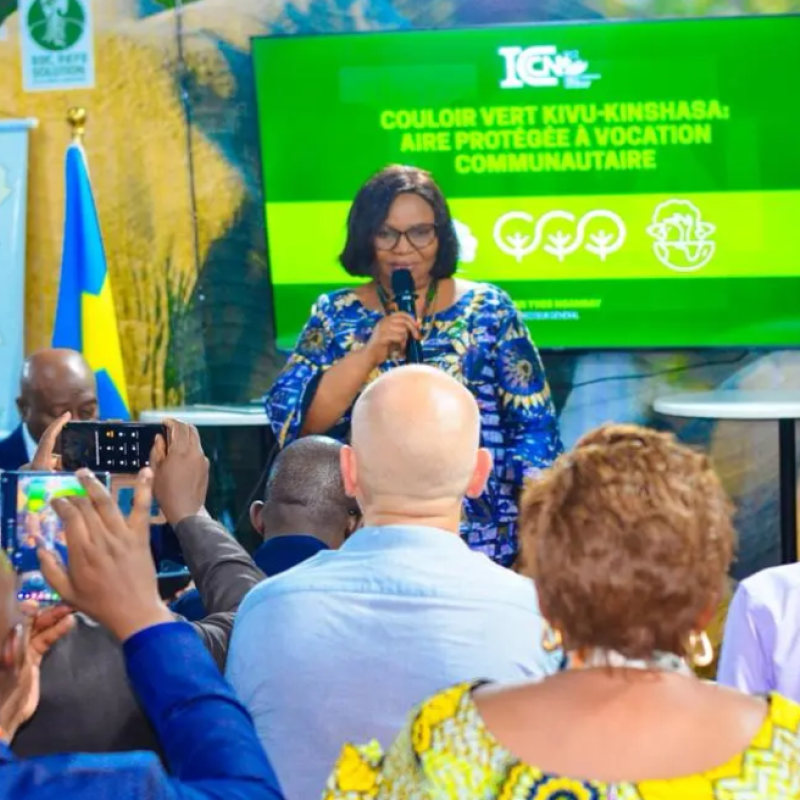 Photo d'illustration