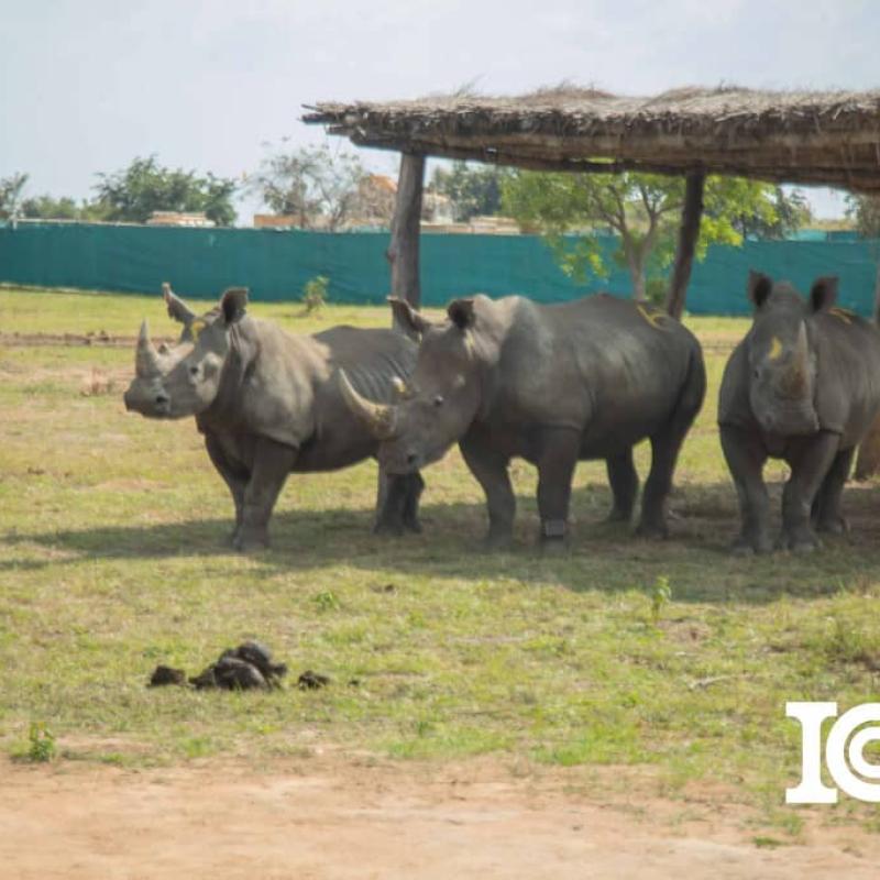 Photo d'illustration