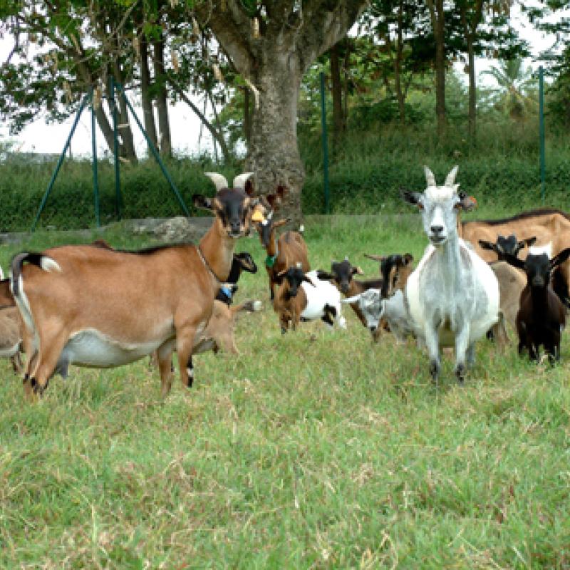 Photo d'illustration