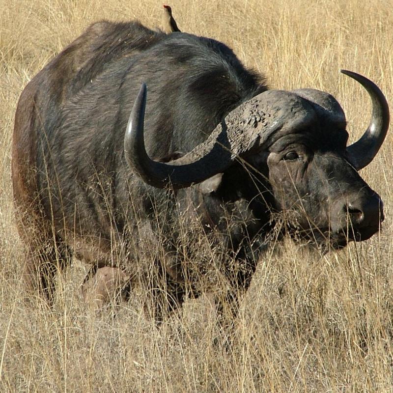 Photo d'illustration