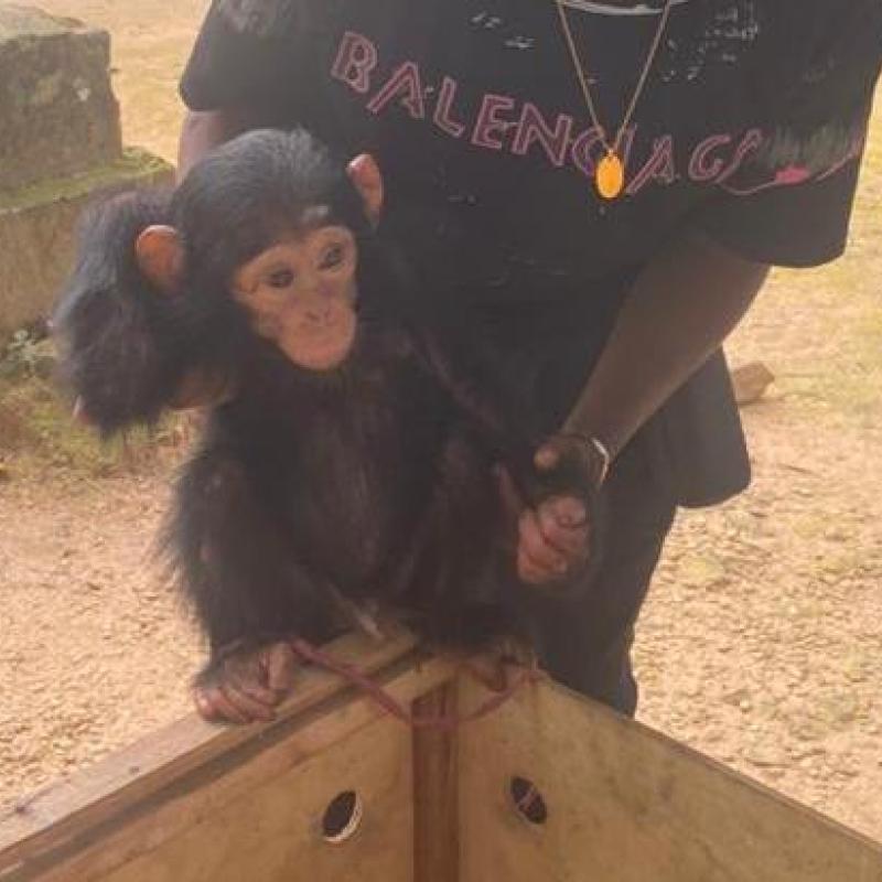 Photo d'illustration