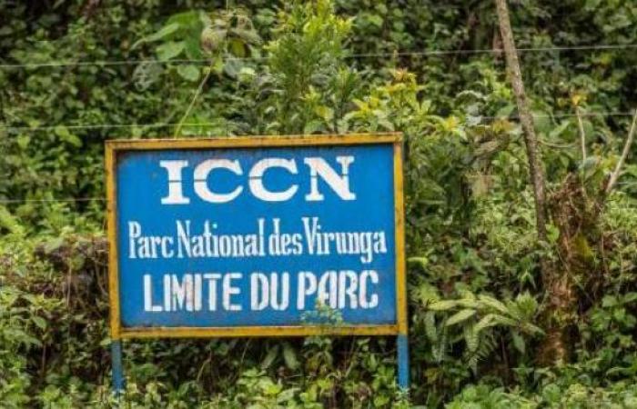 parc_national_virunga_iccn_limite_20_001_jpg_640_350_1.jpeg
