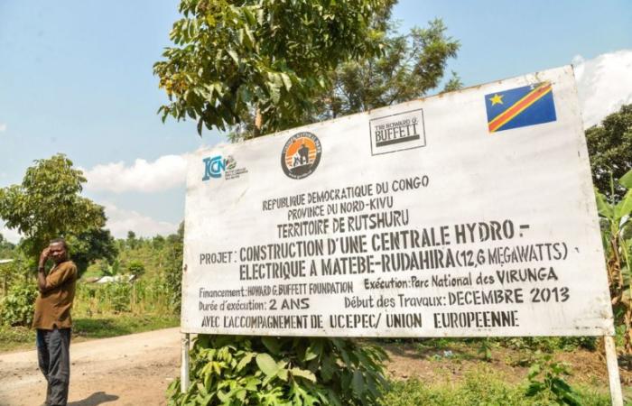 virunga-787x508-1.jpg