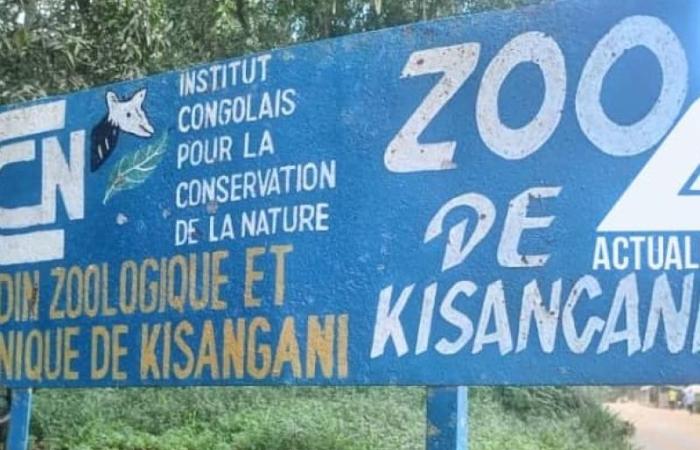 Zoo de Kisangani