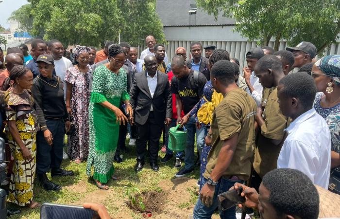 Photo d'illustration