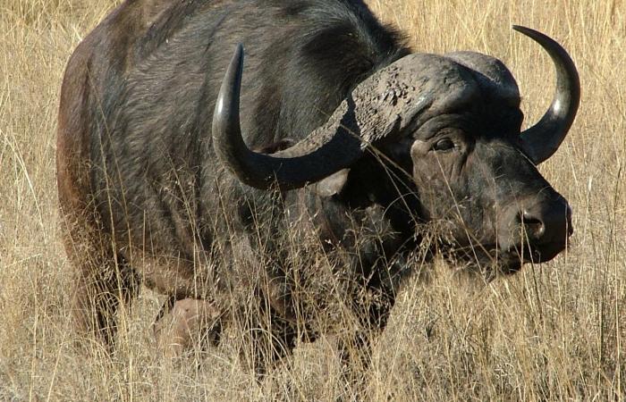 Photo d'illustration