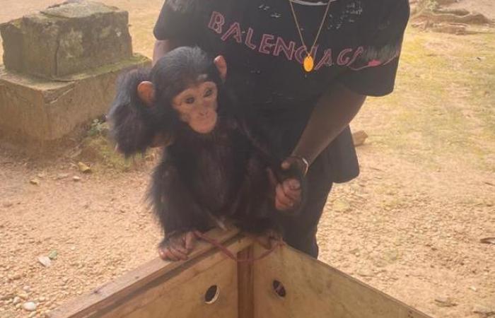 Photo d'illustration