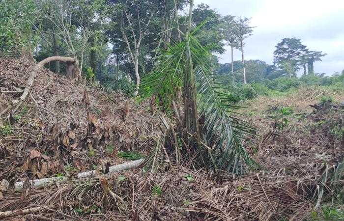 Photo d'illustration