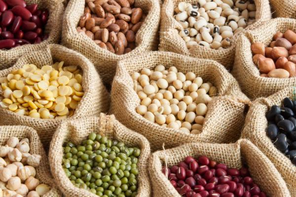 legumineuses-la-liste-des-principaux-legumes-secs.jpeg