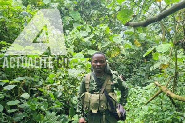 Photo d'illustration