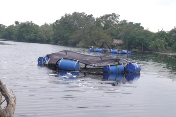 Photo d'illustration