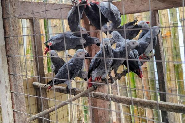 Photo d'illustration