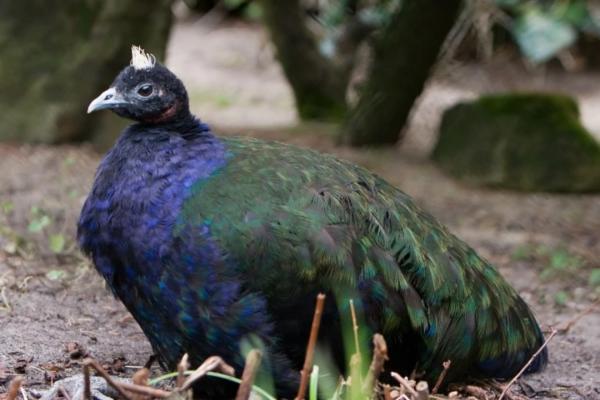 Photo d'illustration