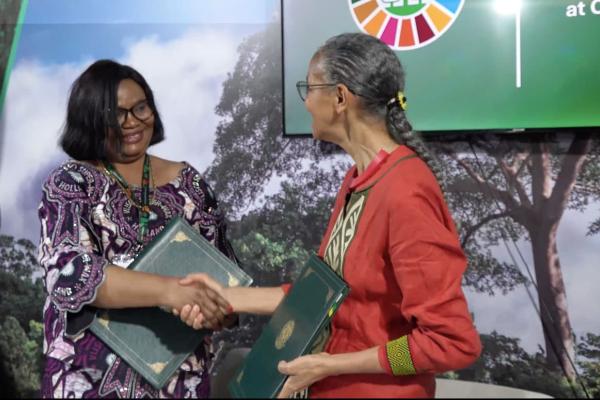 Photo d'illustration