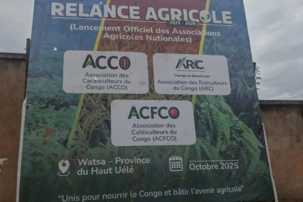 Photo d'illustration