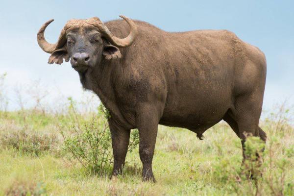 Photo d'illustration