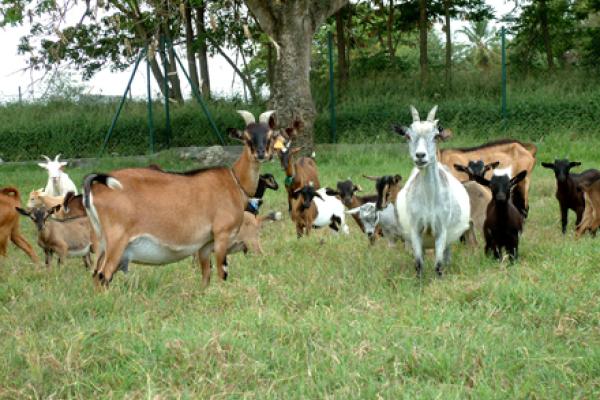 Photo d'illustration