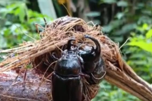 Photo d'illustration