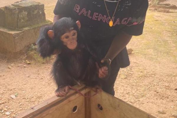 Photo d'illustration